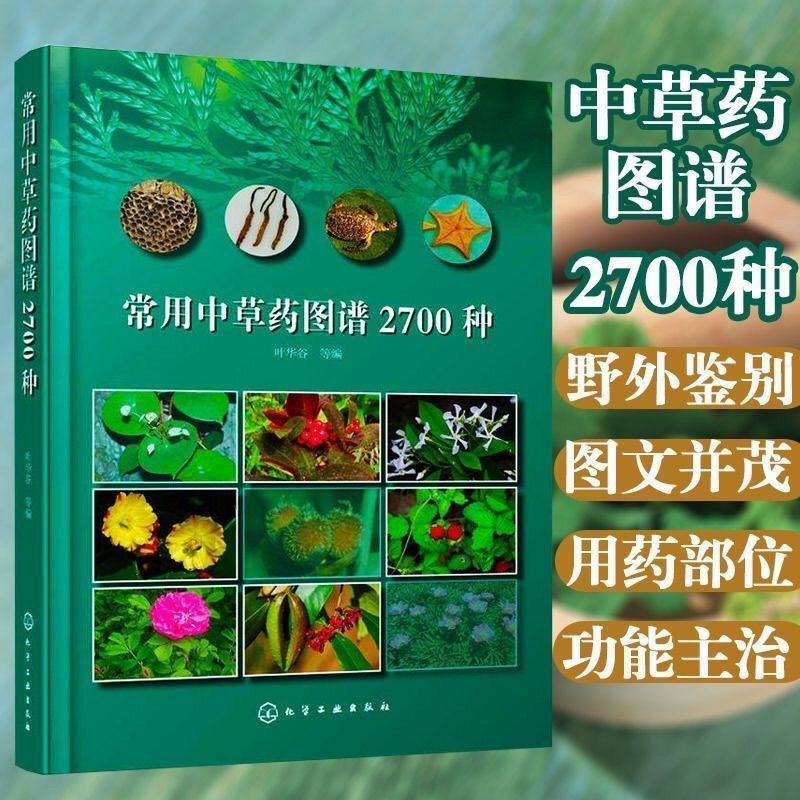 中草药知识数字化传播的现状、痛点与破局路径