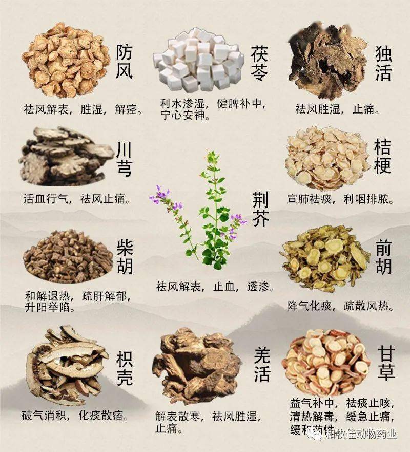 中药配方